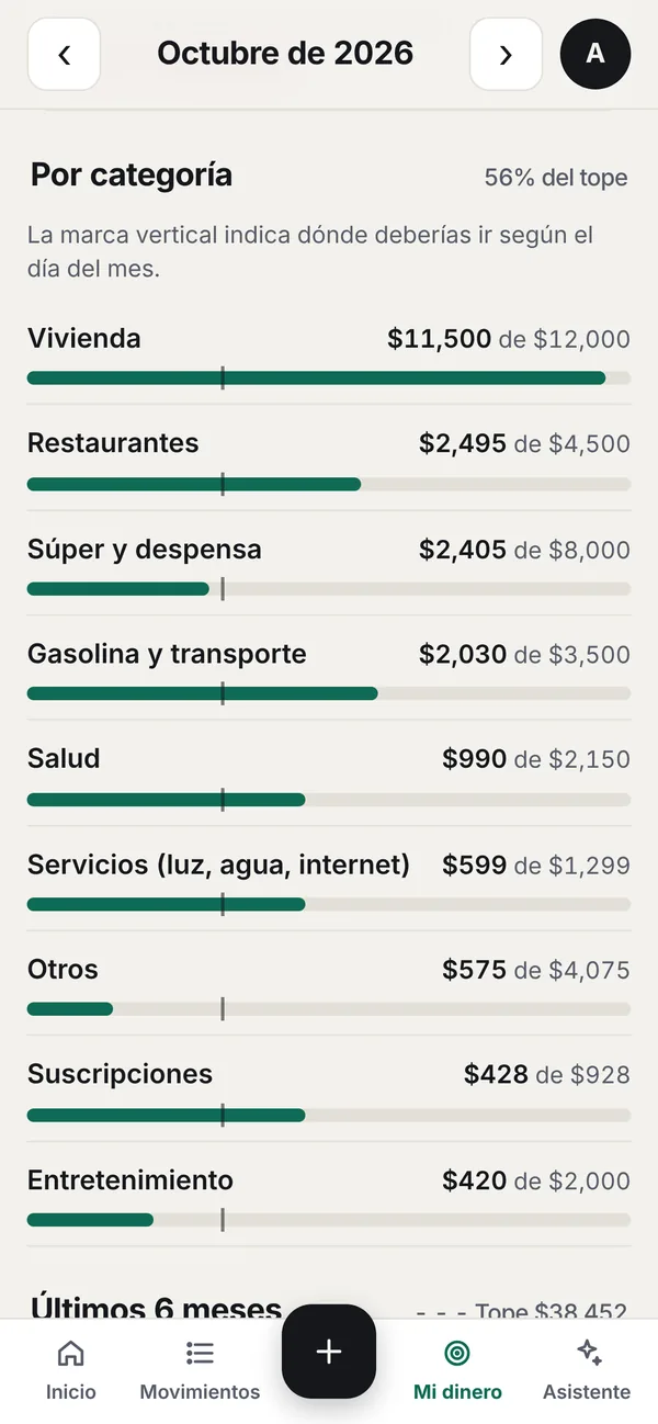 Gasto por categoría comparado con su tope
